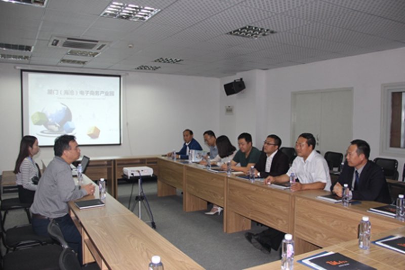 IT Solution Officer: Responsibilities in English